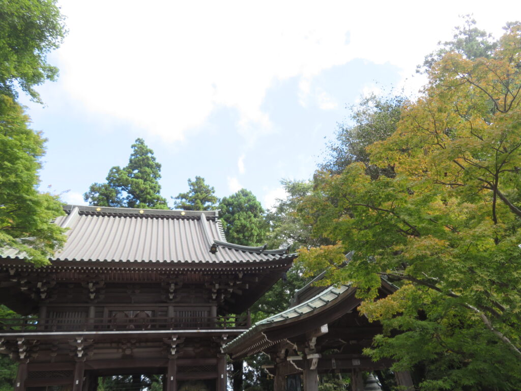薬王院
紅葉が始まってますね