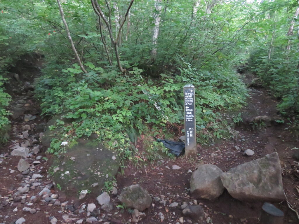2.5合目
旧道と新道の分岐
旧道がおすすめです!