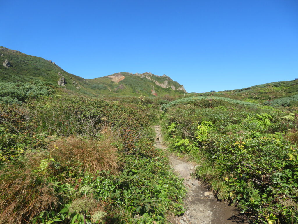 正面に見えるのは鬼ヶ城かな?
険しい山頂ですね