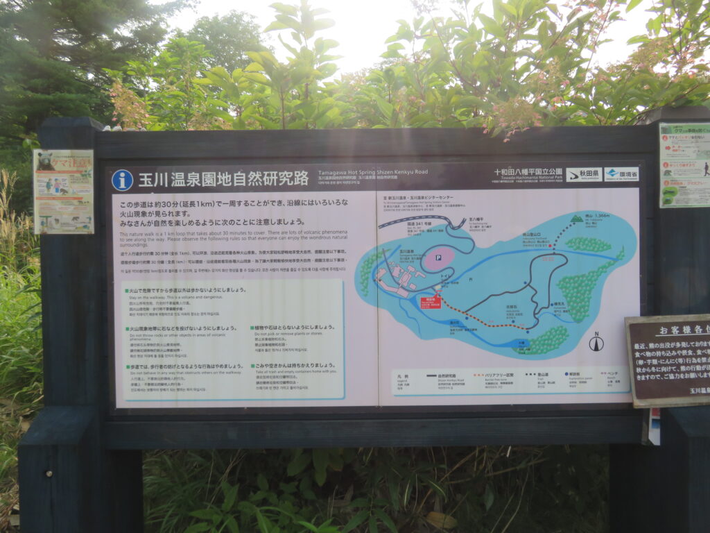 すぐ近く(100mほど)に「自然研究路」があります