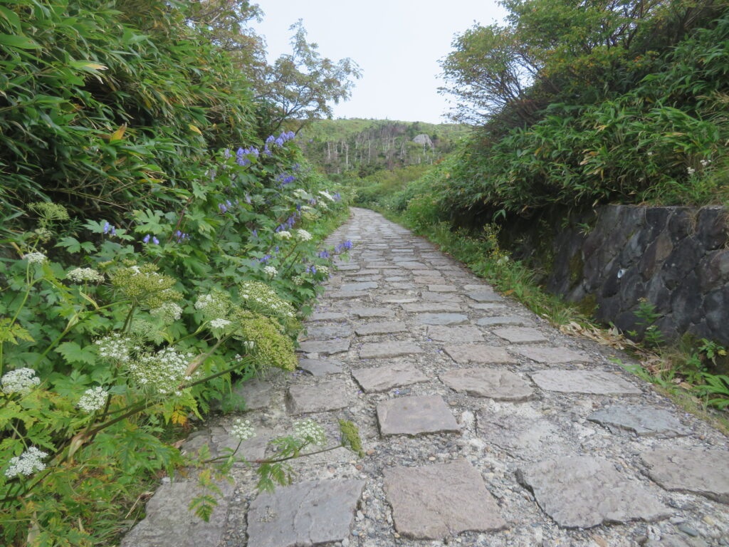登山道は綺麗に整備されています