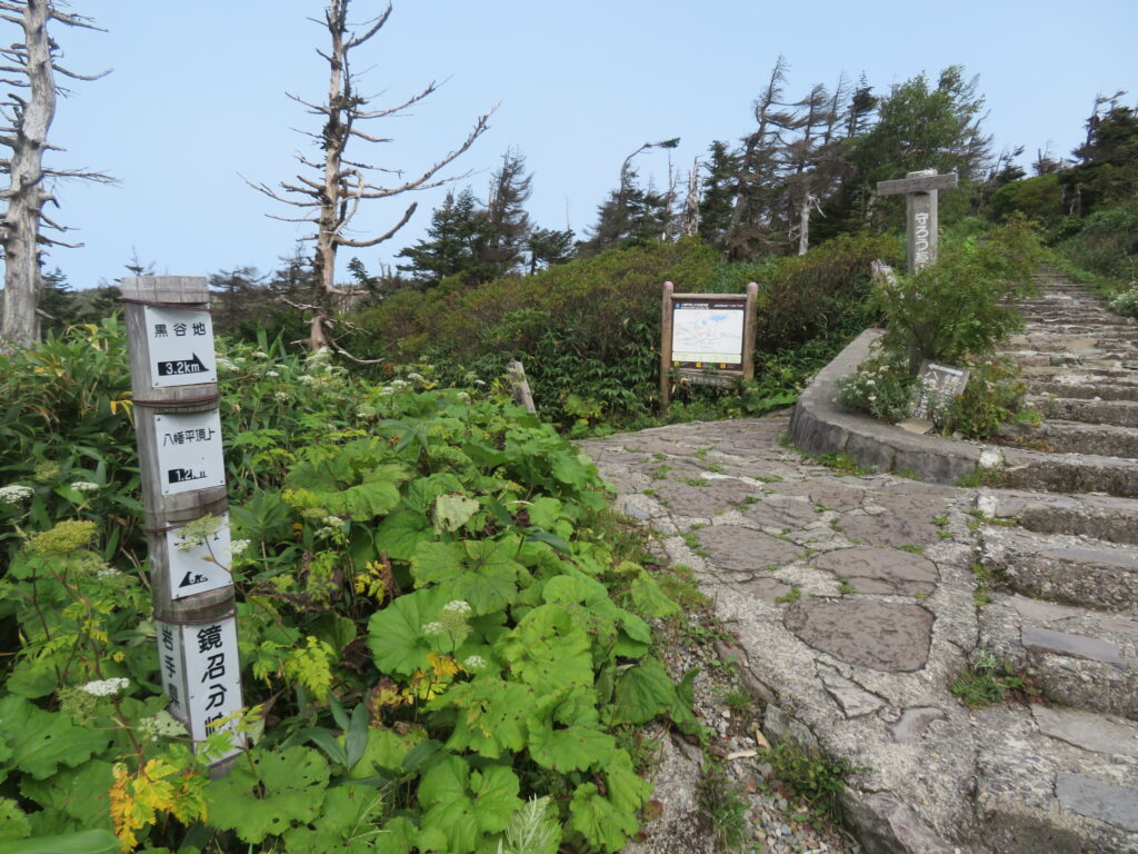 最初の分岐
反時計周り(右)に進みます
山頂は左へ少し行ったところです
