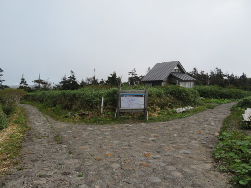 二つ目の分岐
左は山頂やガマ沼へ行く近道です
右へ進みます