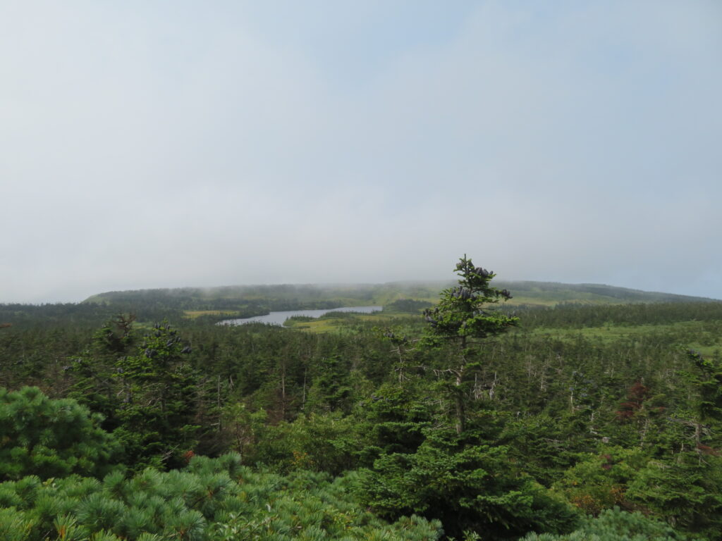 八幡平を一望できます
何ならここが山頂では?という感じ