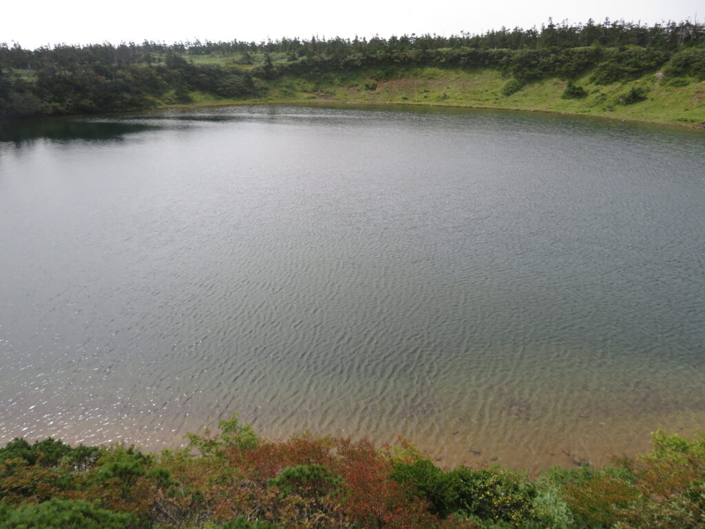 こちらはガマ沼