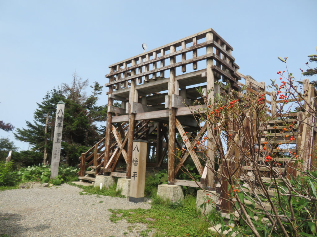 突然の山頂にビックリ!
標識を見て山頂だと気づきました……