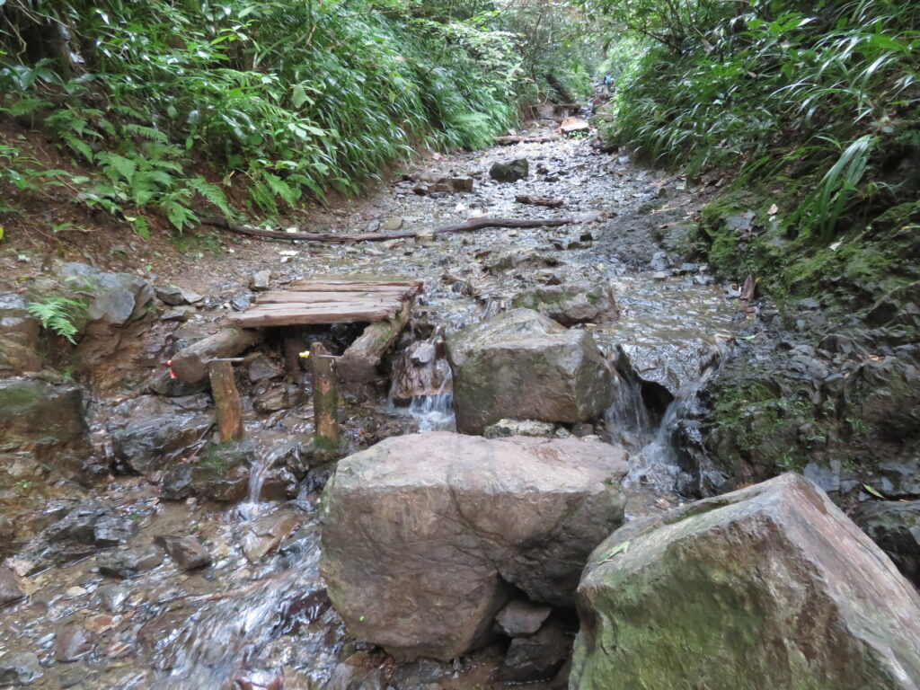 いつもより水量が多いです