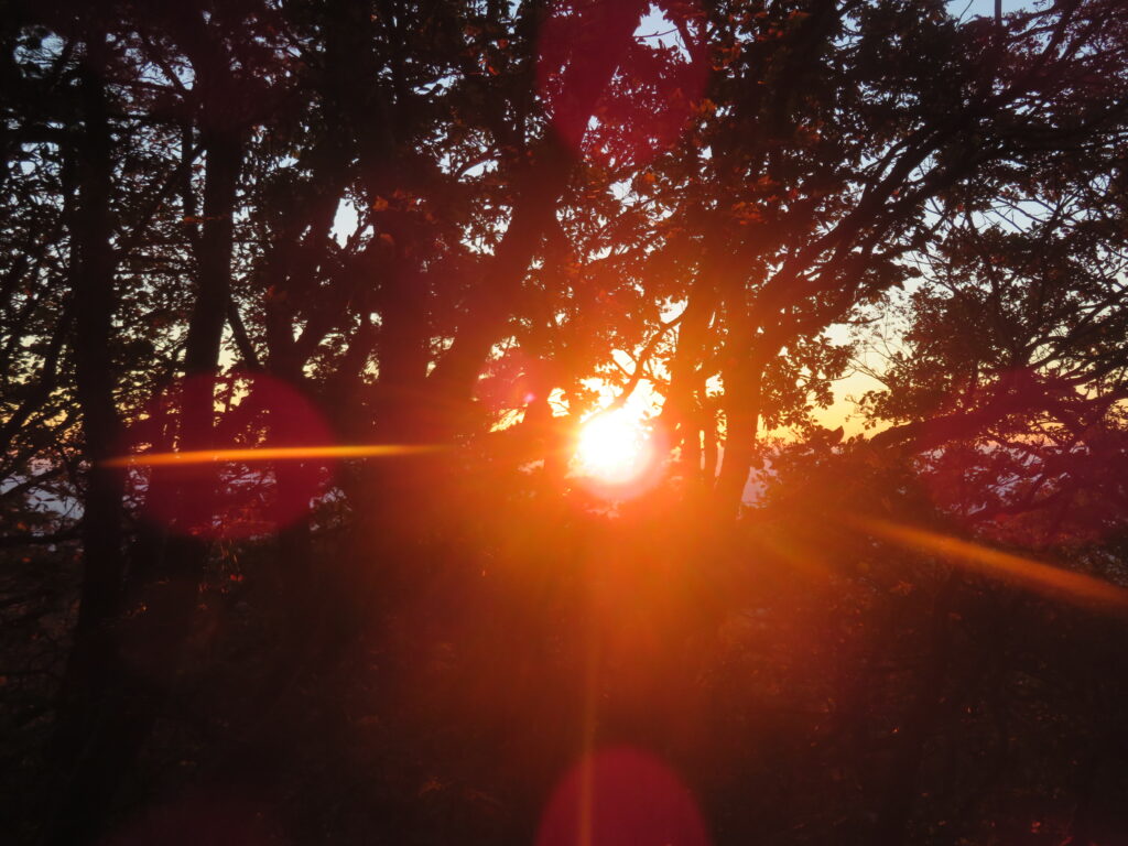 太陽がでてきました☀️