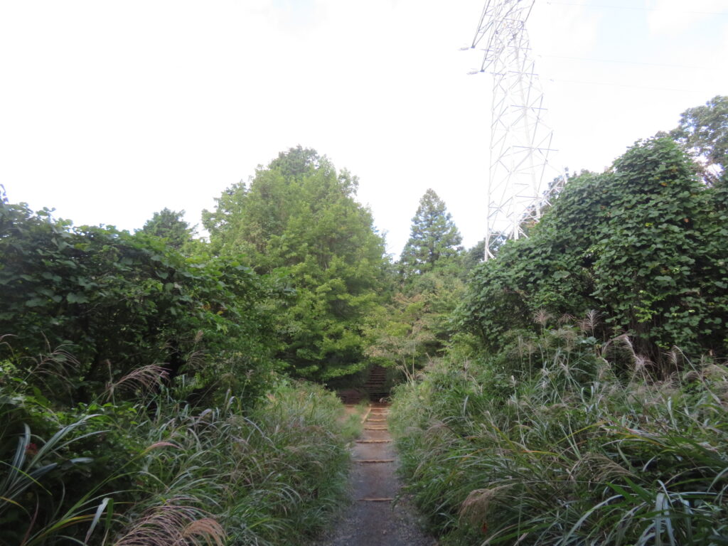 いつもの撮影場所
秋のたたずまい🍁