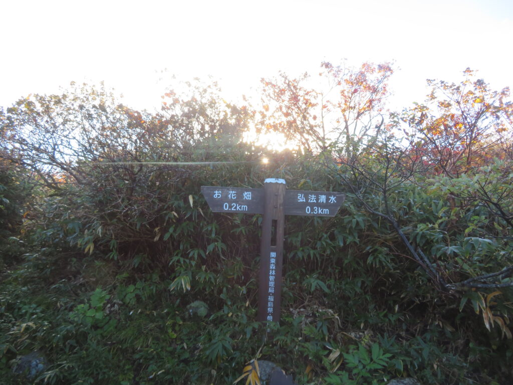 弘法清水とお花畑の分岐
登りは弘法清水へ向かいます