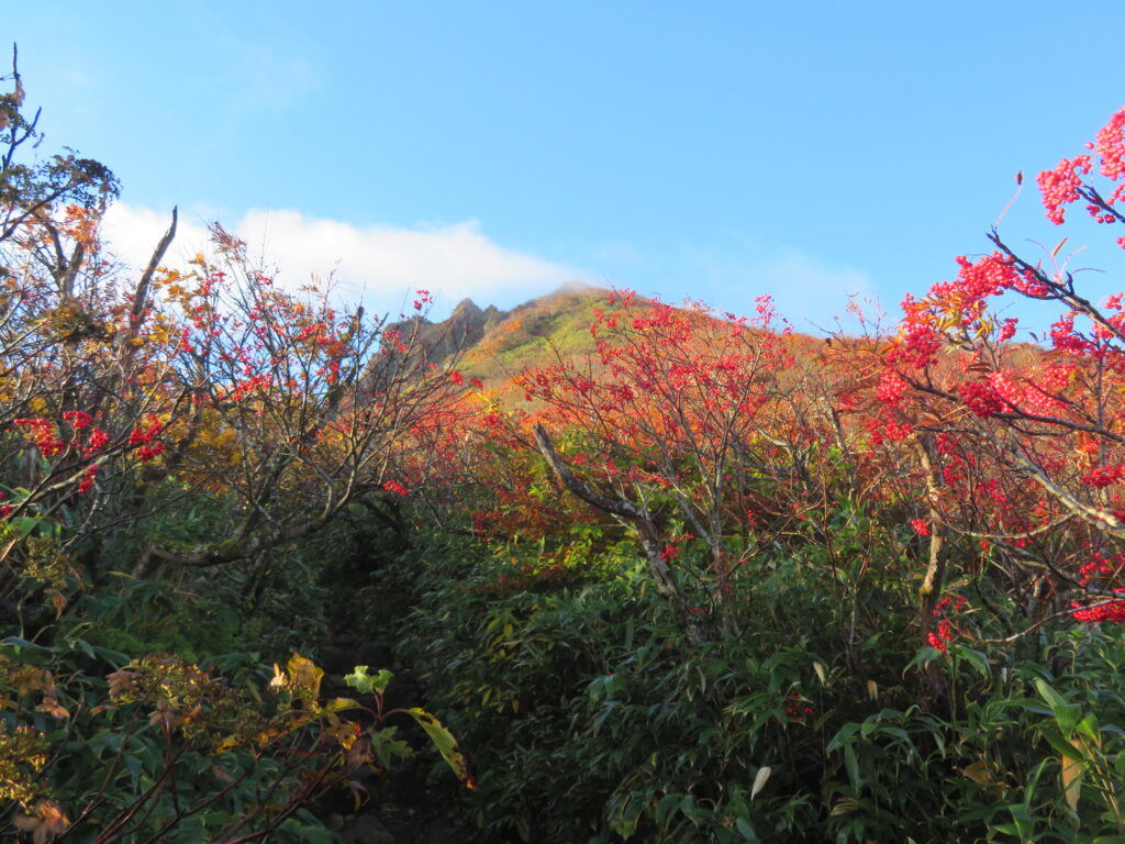 磐梯山登場！