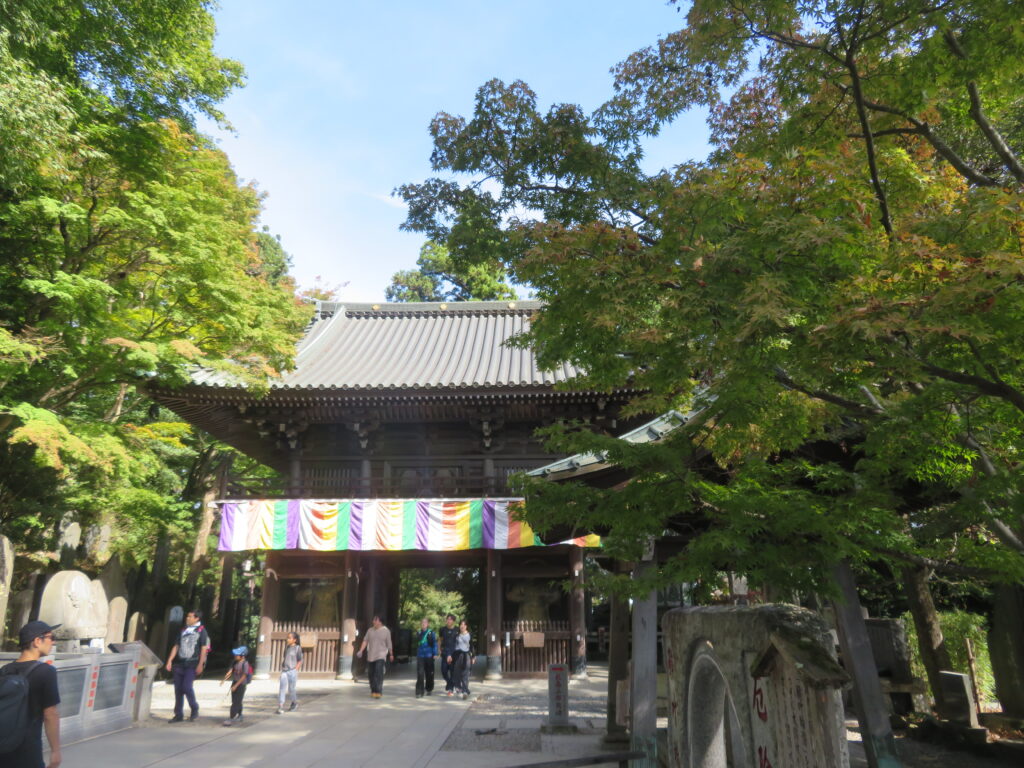 薬王院
紅葉のピークはまだまだ先ですね