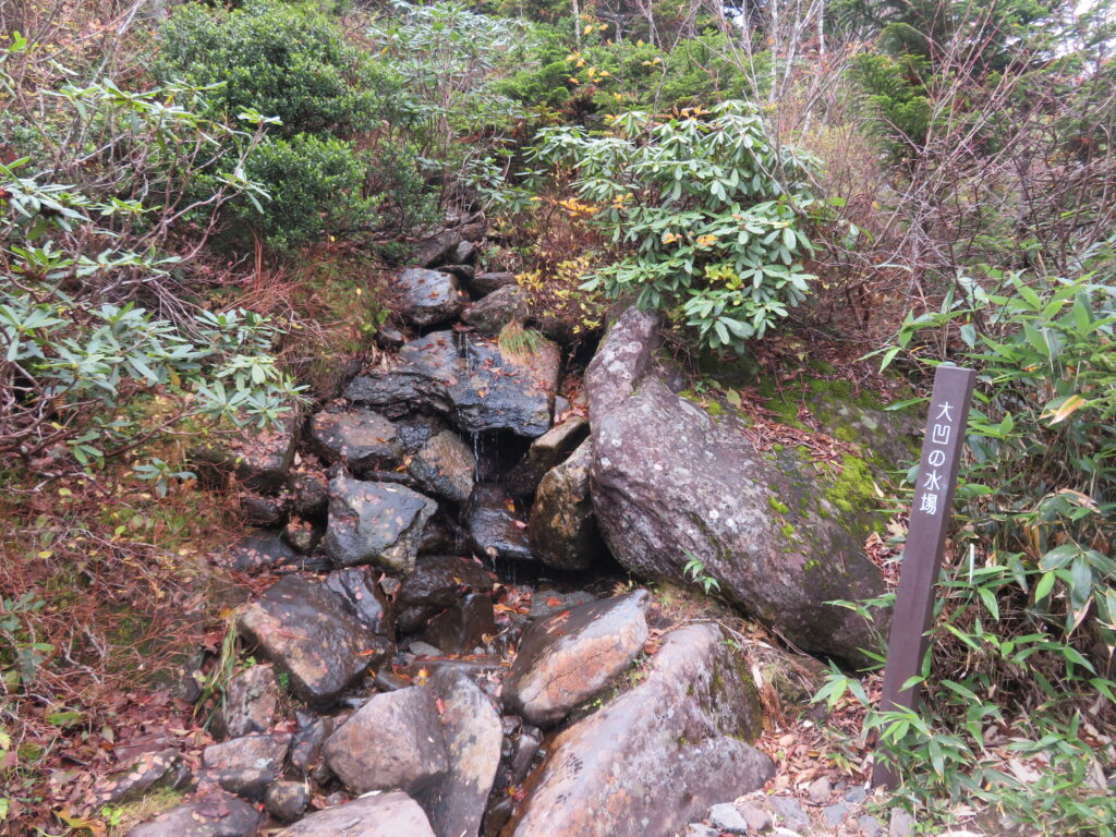 水場あります