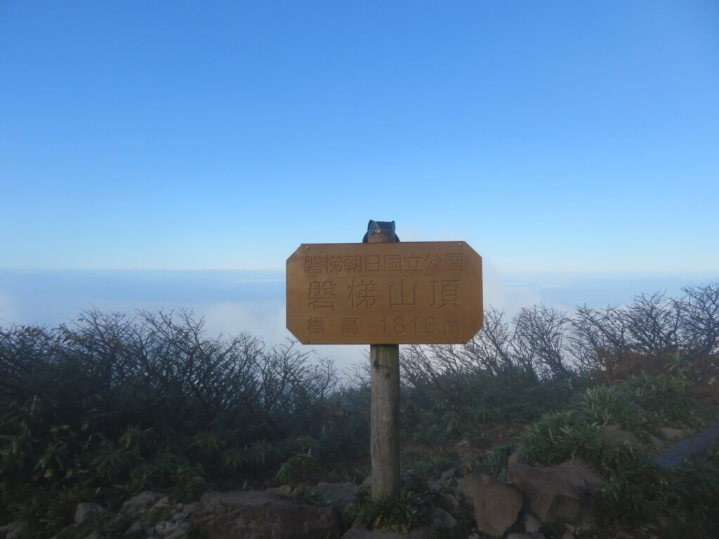 山頂標識は少し下にありました