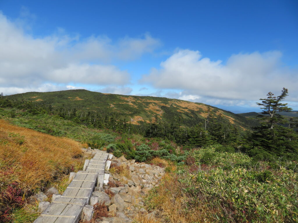 振り返ると素晴らしい景色!