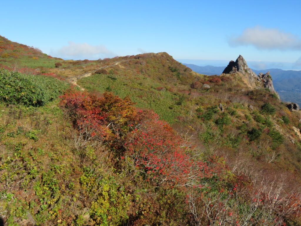 お花畑のコースは最高！