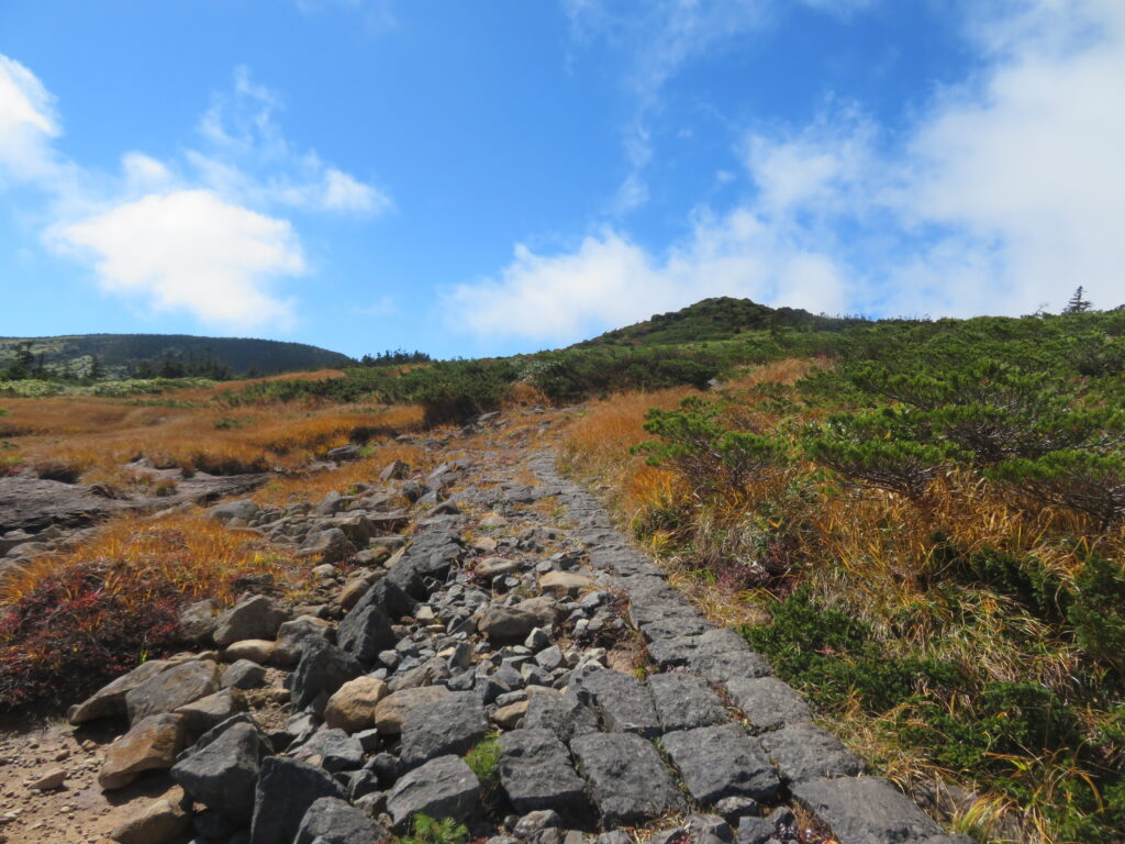 尖っているのが山頂?
ではなく奥の平らな山が山頂でした