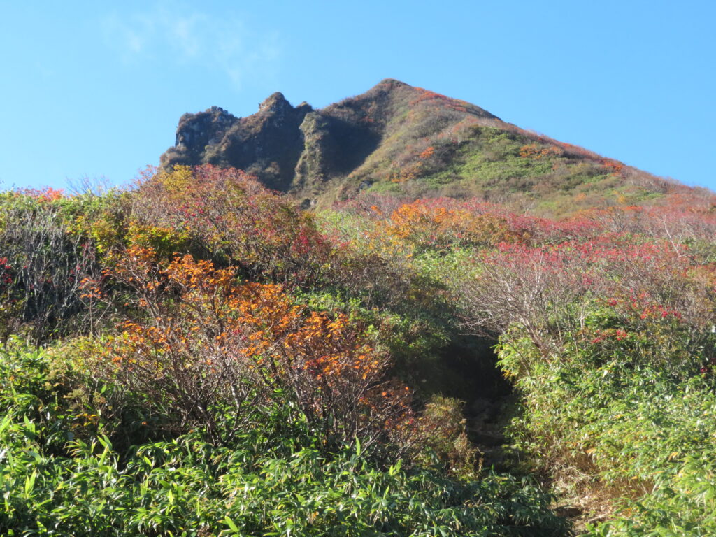 お花畑からの磐梯山！