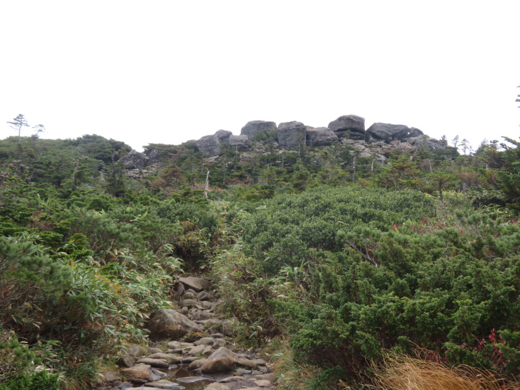 勘違いの山頂は、