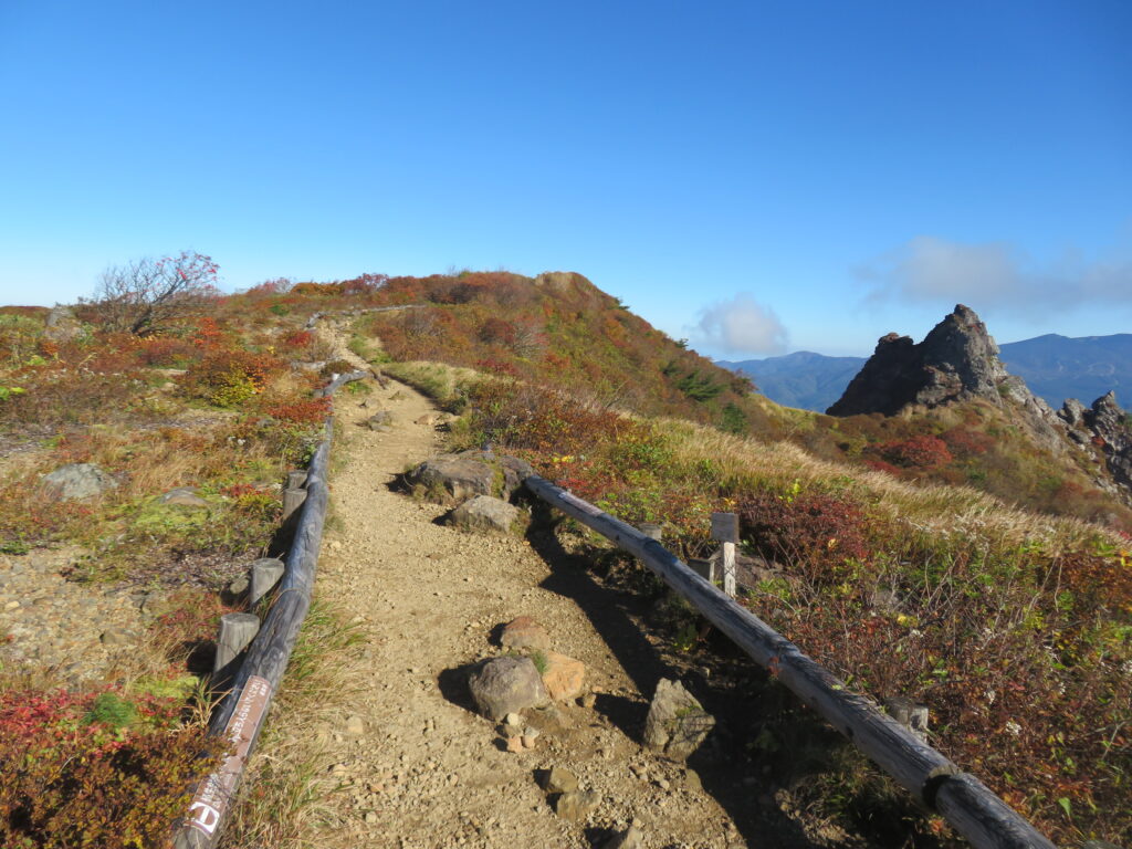 お花畑のコース
本当に歩くのが気持ちいいです！