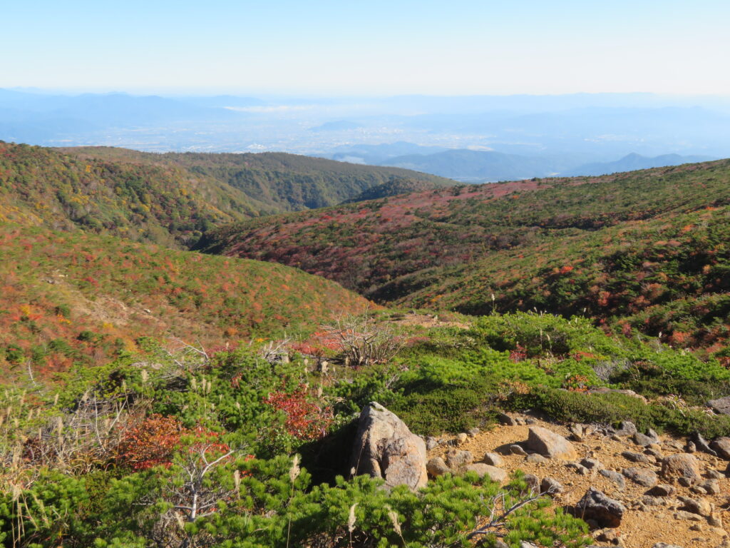見事な紅葉④🍁