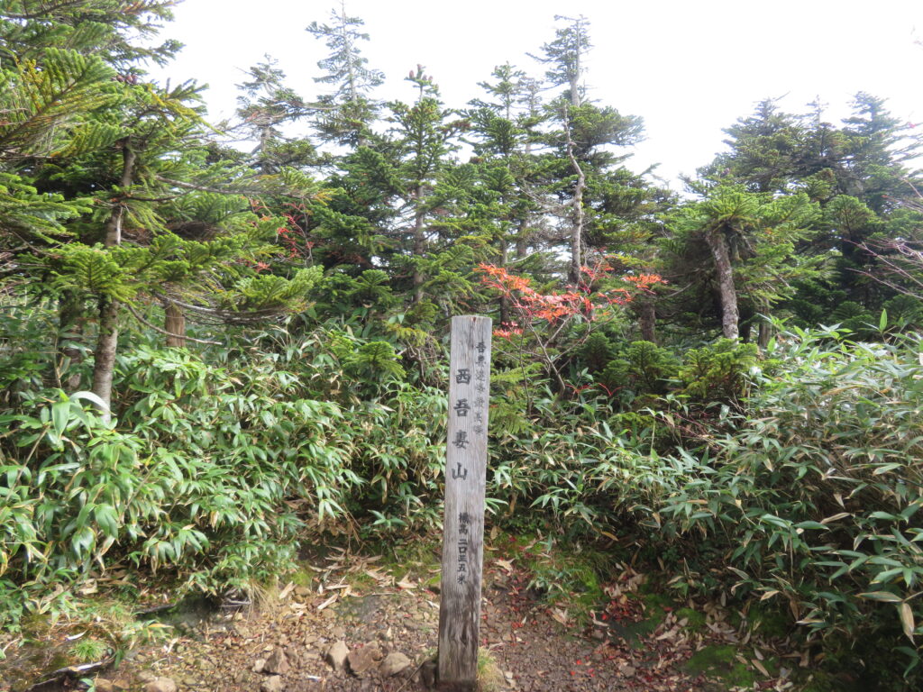 西吾妻山の山頂
(山頂は景色無し……)