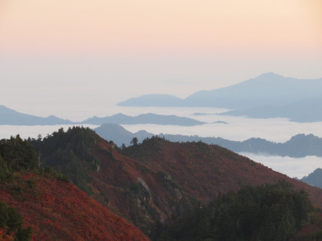 今日は枝折峠からの滝雲が最高そうですね!