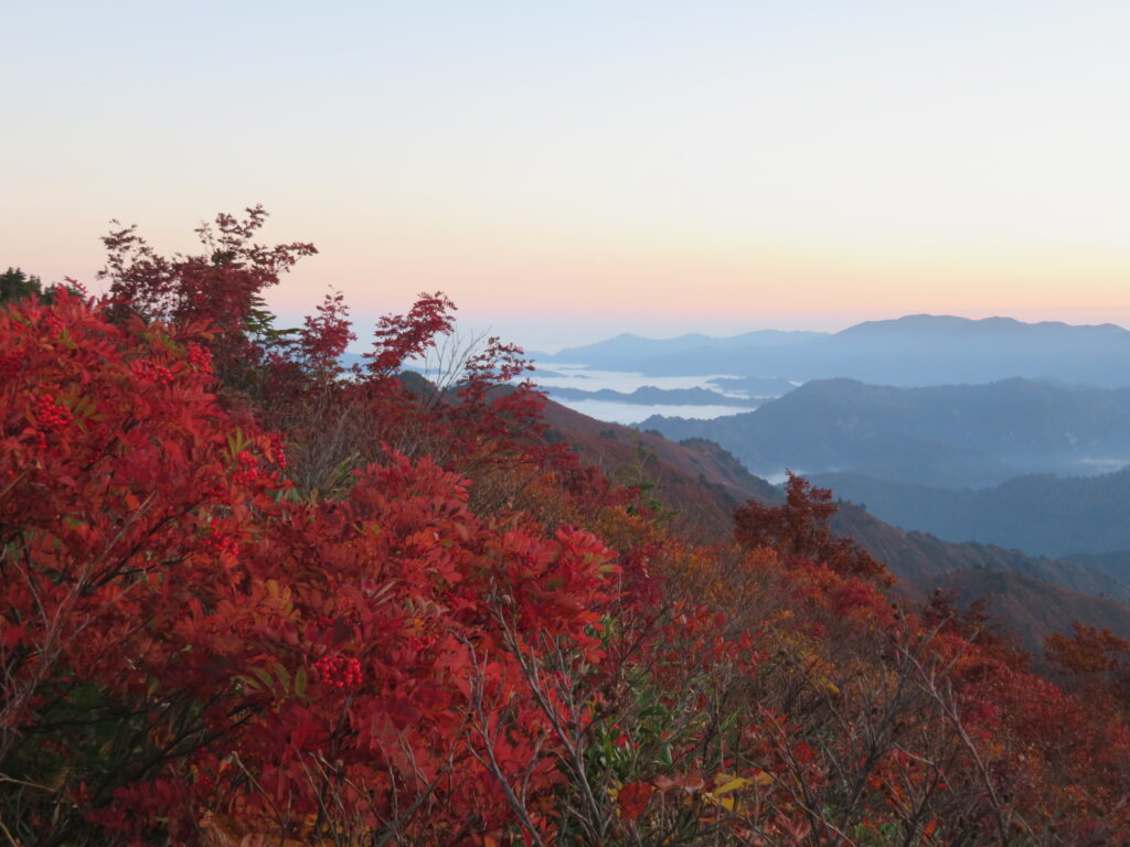 紅葉と雲海
