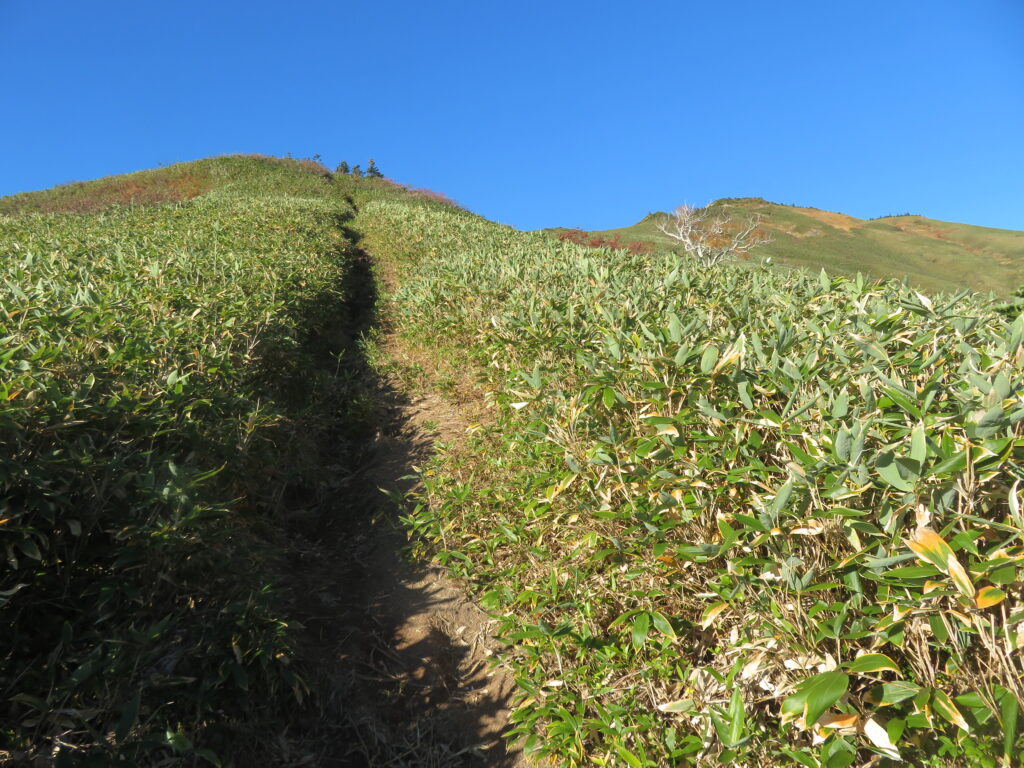 奥が池ノ岳