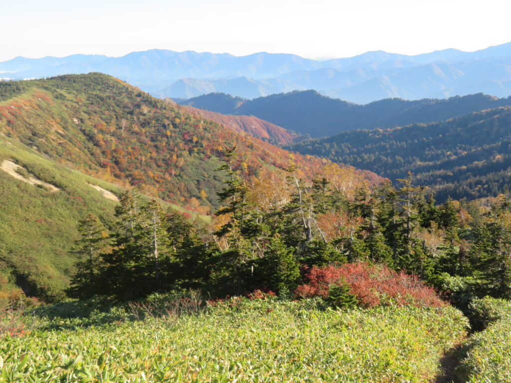 振り返ると絶景🌟
最高過ぎます!