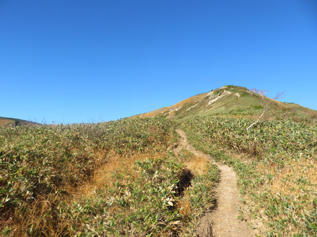 池ノ岳まであと少し