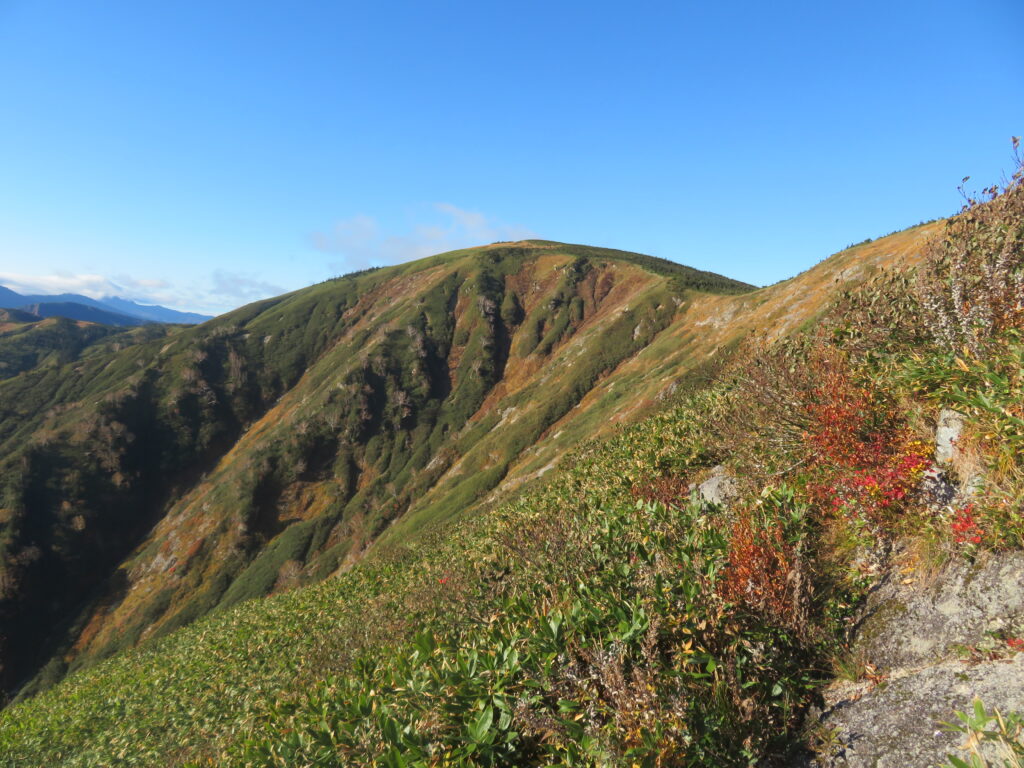 池ノ岳の手前からの平ヶ岳