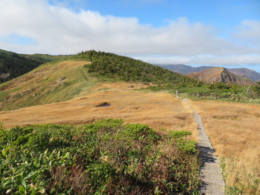 気持ちいい登山道が続きます