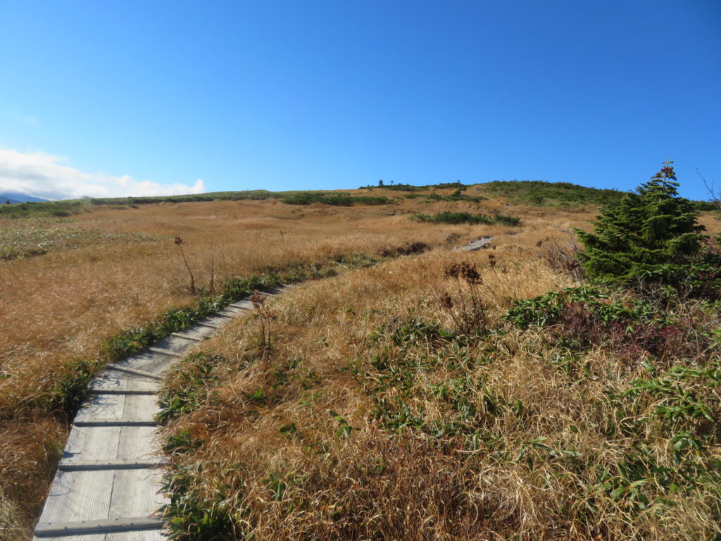 それでは平ヶ岳の山頂へ向かいます