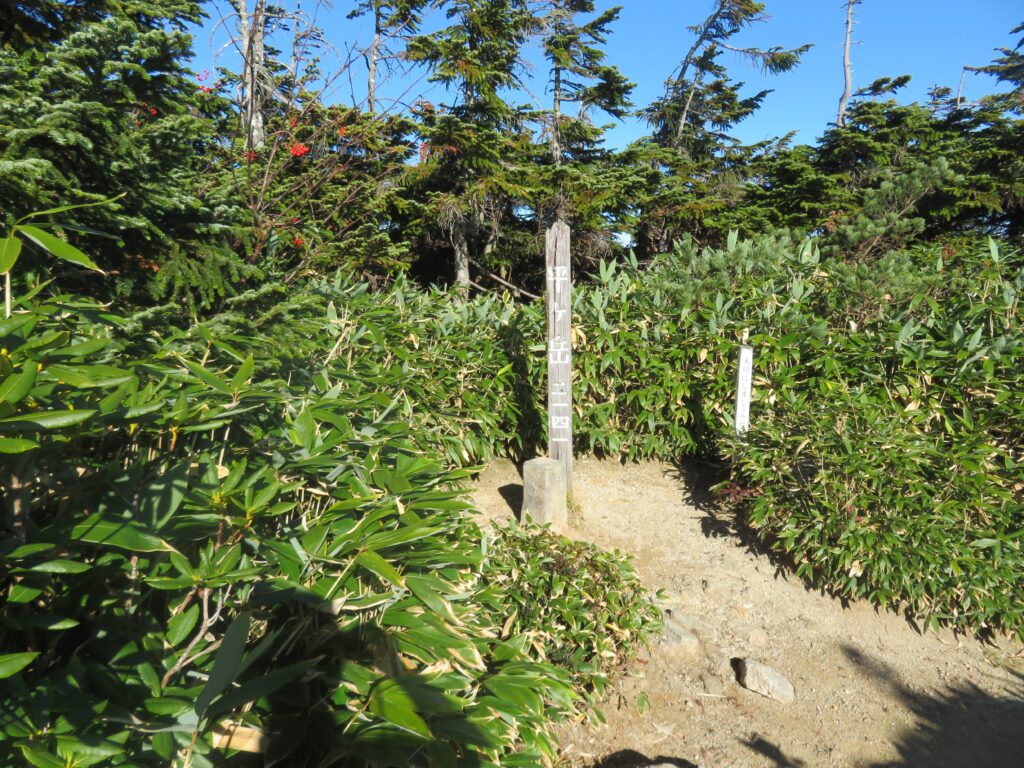 午前8時15分
平ヶ岳の山頂!