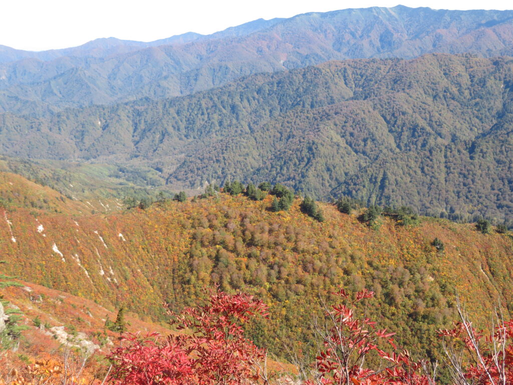 登りは暗かったので気づきませんでしたが、台倉山~下台倉山は絶景ロード!