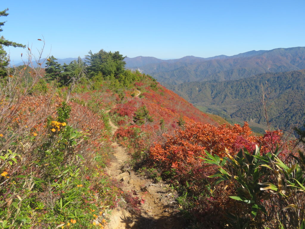 最高の登山道