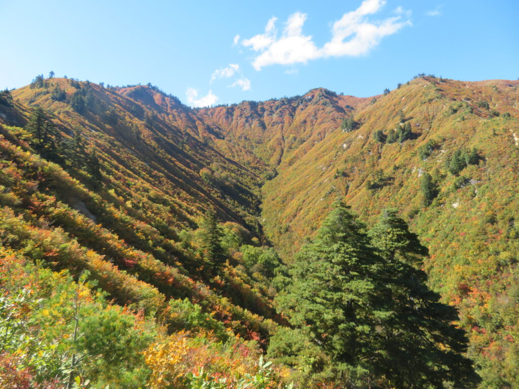 振り返ると絶景!