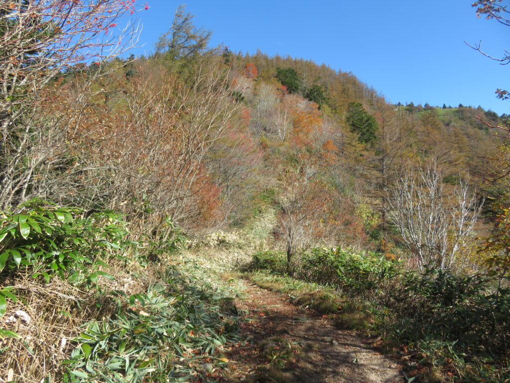 長かった樹林帯が終わりました！！！
ここからは絶景ロードです🥰