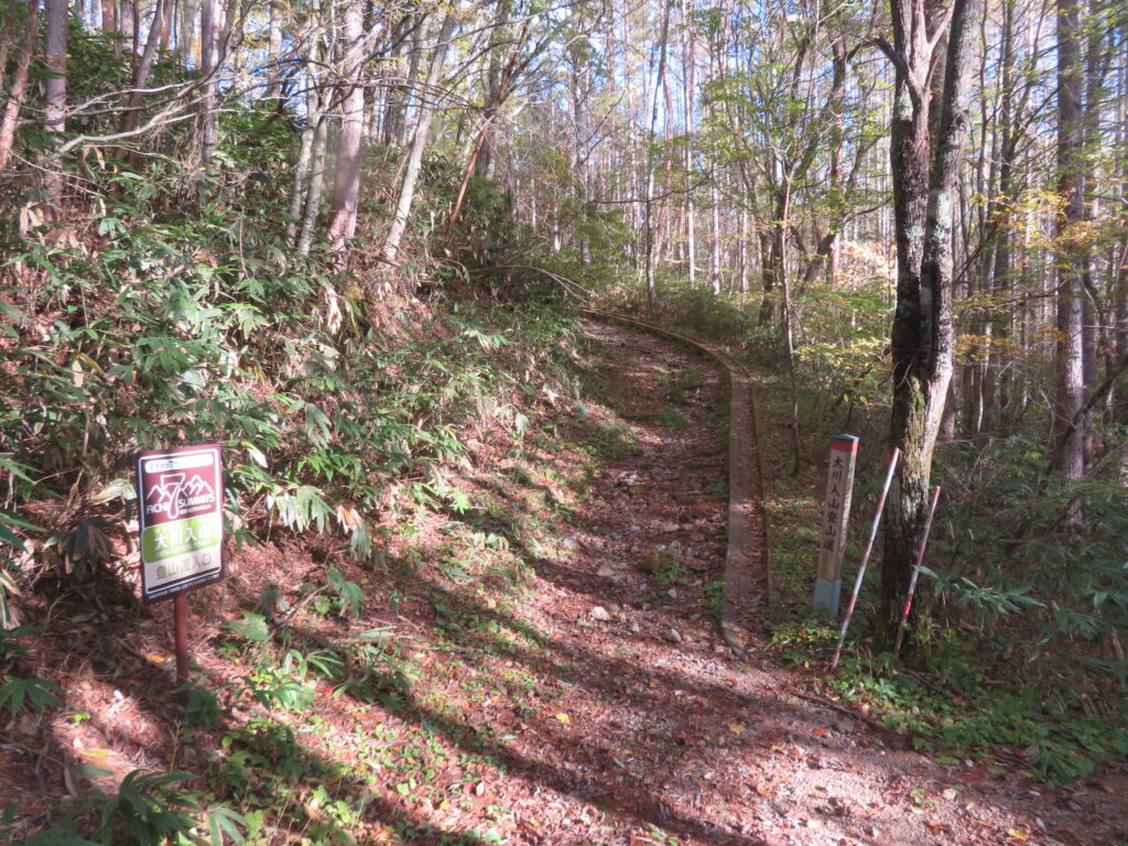 登山口
まずは横岳を目指します！