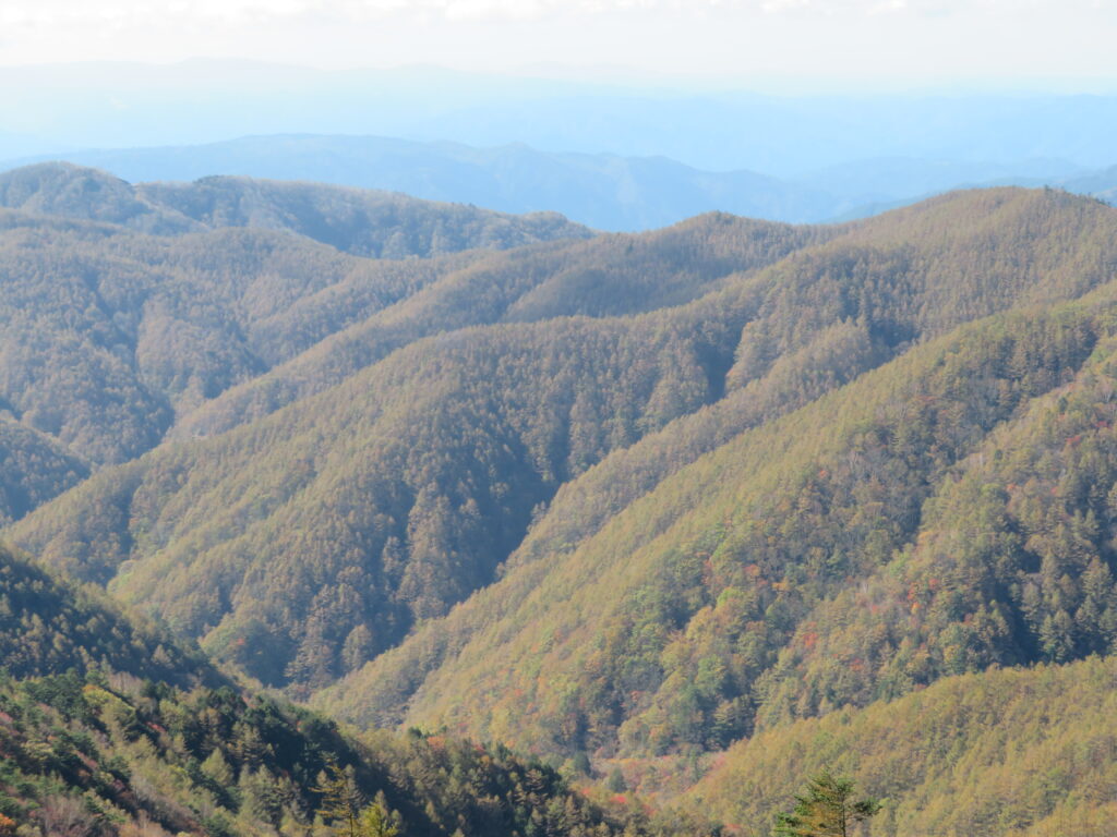 歩いてきた稜線の紅葉
東北の真っ赤な紅葉も綺麗でしたが、この感じも味わい深い🥰