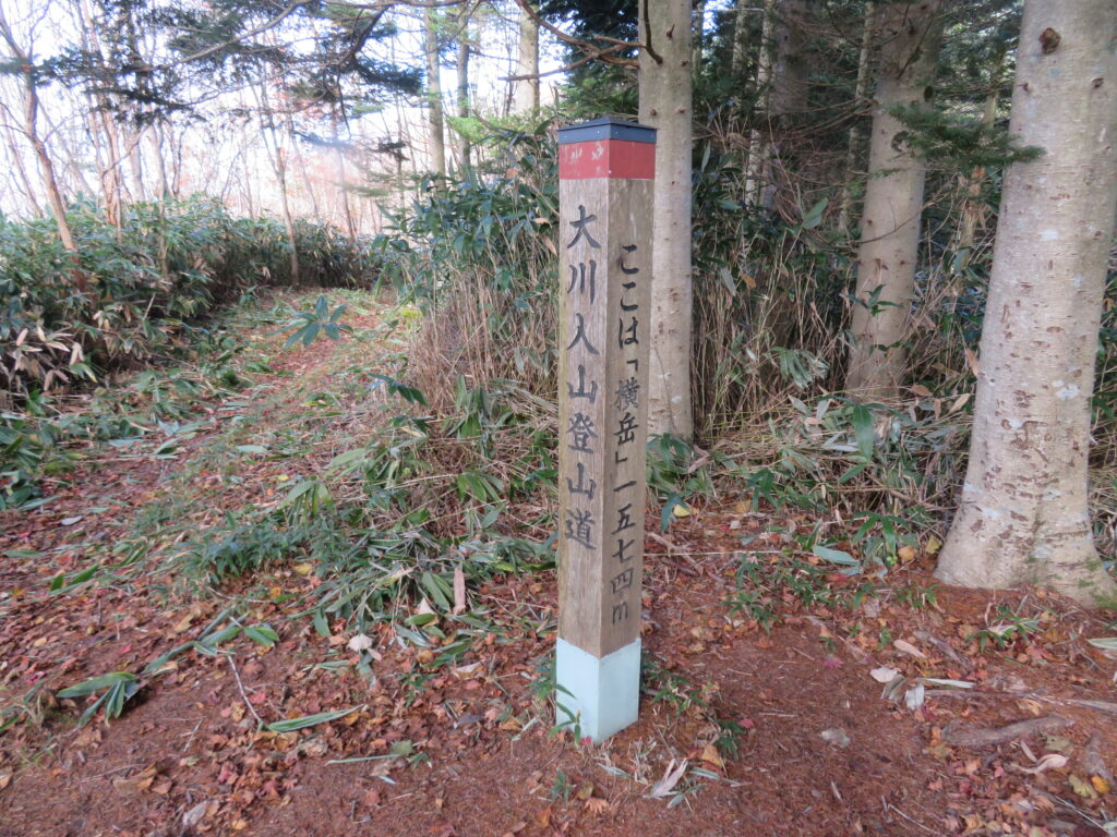 横岳の山頂！
なかなかの急登でした💦
歩きずらい場所も少しありました