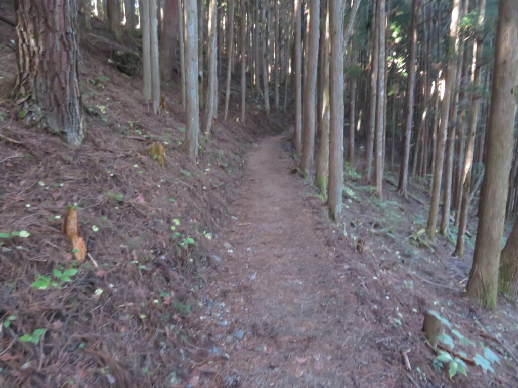 山道を進んでいきます
運動靴など歩きやすい靴がいいですね