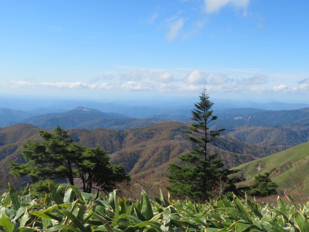 恵那市方面
