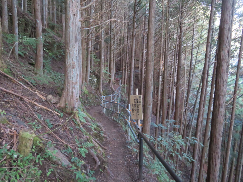細い道もあります
柵があり安心ですが滑落注意ですね!
「譲りあい無事故の旅を!けがも痛さも自己責任!」