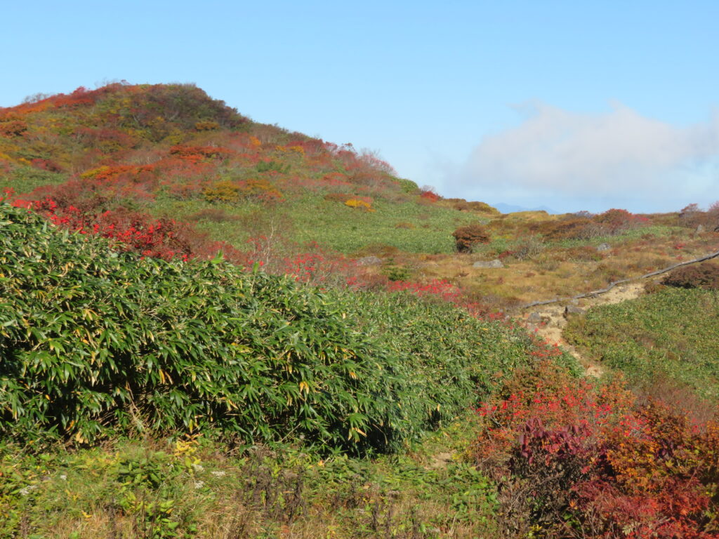 紅葉も綺麗です🍁